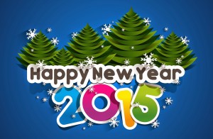 2015-happy-new-year